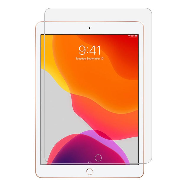 Screen Protector voor iPad B2B - iApples